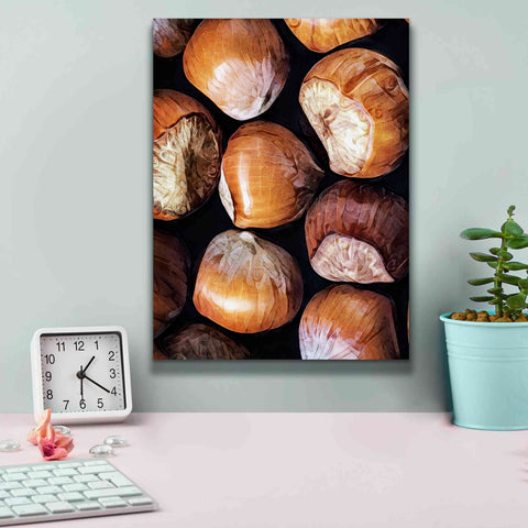 Image of 'Fruit Of The Hazel 2' by Ashley Aldridge Giclee Canvas Wall Art,12 x 16