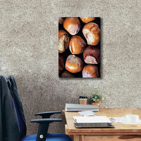 Image of 'Fruit Of The Hazel 2' by Ashley Aldridge Giclee Canvas Wall Art,18 x 26