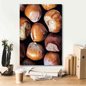 'Fruit Of The Hazel 2' by Ashley Aldridge Giclee Canvas Wall Art,18 x 26