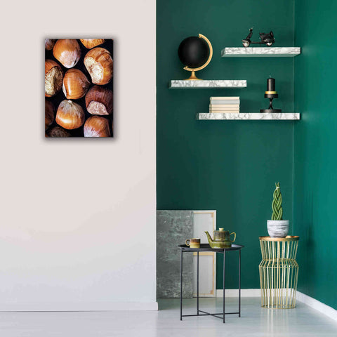 Image of 'Fruit Of The Hazel 2' by Ashley Aldridge Giclee Canvas Wall Art,18 x 26