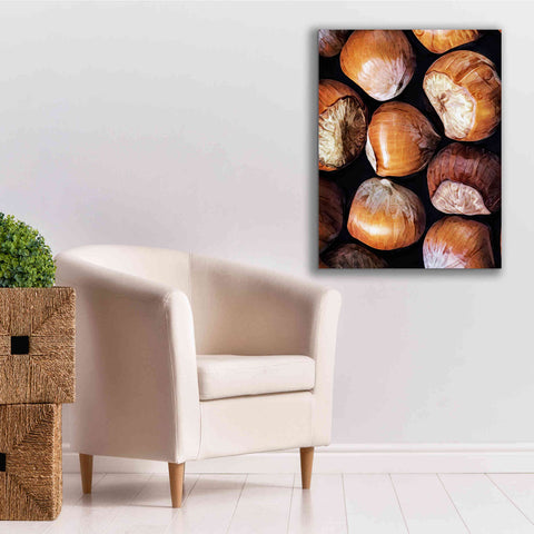 Image of 'Fruit Of The Hazel 2' by Ashley Aldridge Giclee Canvas Wall Art,26 x 34