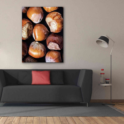 Image of 'Fruit Of The Hazel 2' by Ashley Aldridge Giclee Canvas Wall Art,40 x 54