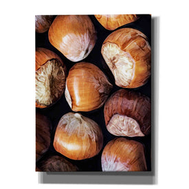 'Fruit Of The Hazel 2' by Ashley Aldridge Giclee Canvas Wall Art