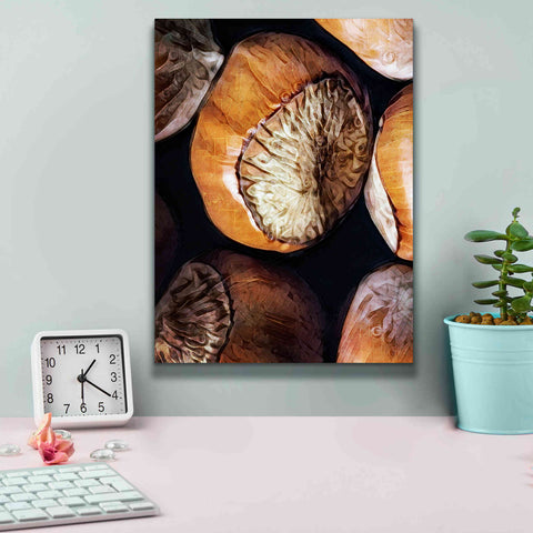 Image of 'Fruit Of The Hazel 3' by Ashley Aldridge Giclee Canvas Wall Art,12 x 16