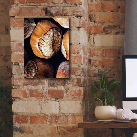 Image of 'Fruit Of The Hazel 3' by Ashley Aldridge Giclee Canvas Wall Art,12 x 16