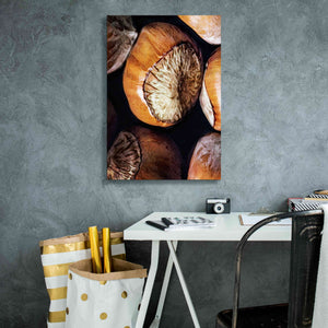 'Fruit Of The Hazel 3' by Ashley Aldridge Giclee Canvas Wall Art,18 x 26