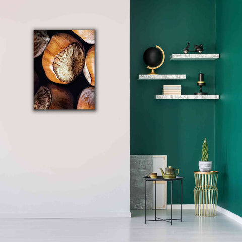 Image of 'Fruit Of The Hazel 3' by Ashley Aldridge Giclee Canvas Wall Art,26 x 34