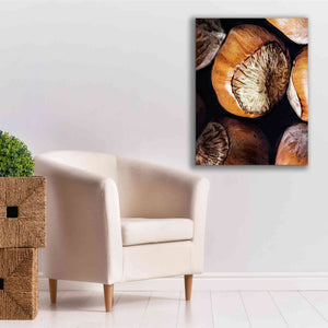 'Fruit Of The Hazel 3' by Ashley Aldridge Giclee Canvas Wall Art,26 x 34