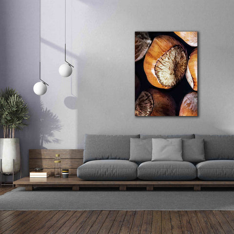 Image of 'Fruit Of The Hazel 3' by Ashley Aldridge Giclee Canvas Wall Art,40 x 54