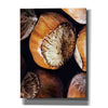 'Fruit Of The Hazel 3' by Ashley Aldridge Giclee Canvas Wall Art