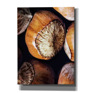 'Fruit Of The Hazel 3' by Ashley Aldridge Giclee Canvas Wall Art