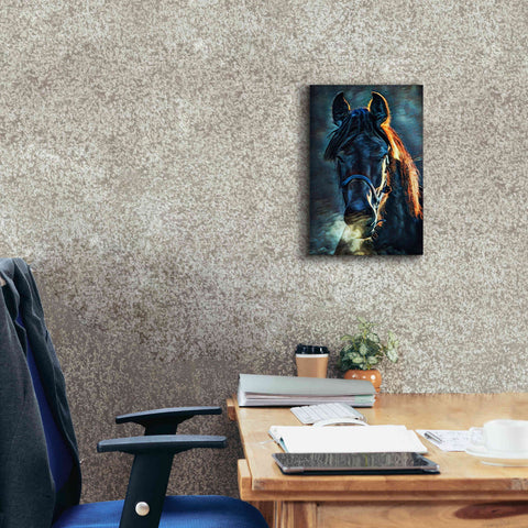 Image of 'Black Stallion Stare 1' by Ashley Aldridge Giclee Canvas Wall Art,12 x 18
