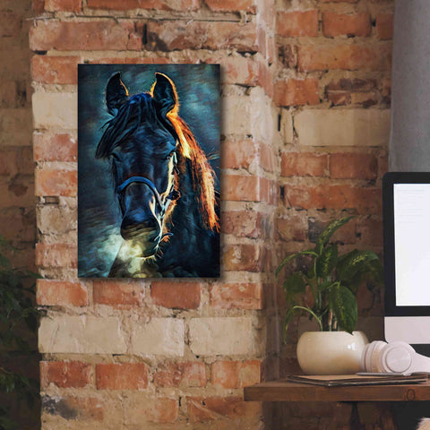 Image of 'Black Stallion Stare 1' by Ashley Aldridge Giclee Canvas Wall Art,12 x 18