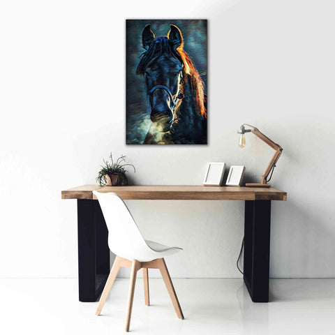 Image of 'Black Stallion Stare 1' by Ashley Aldridge Giclee Canvas Wall Art,26 x 40