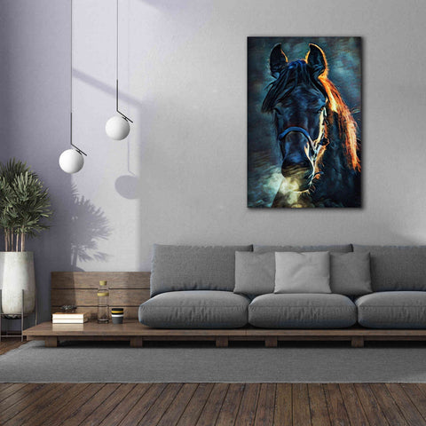 Image of 'Black Stallion Stare 1' by Ashley Aldridge Giclee Canvas Wall Art,40 x 60