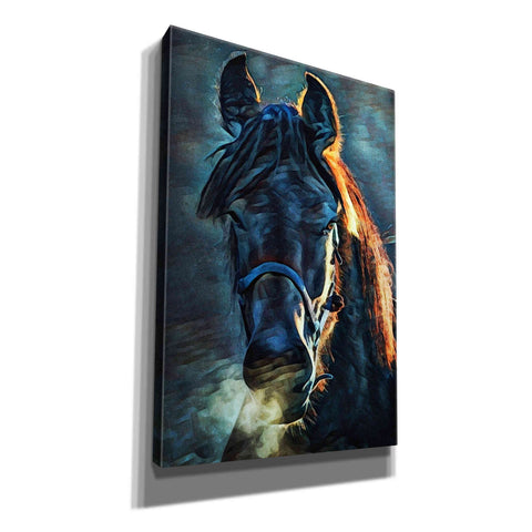 Image of 'Black Stallion Stare 1' by Ashley Aldridge Giclee Canvas Wall Art
