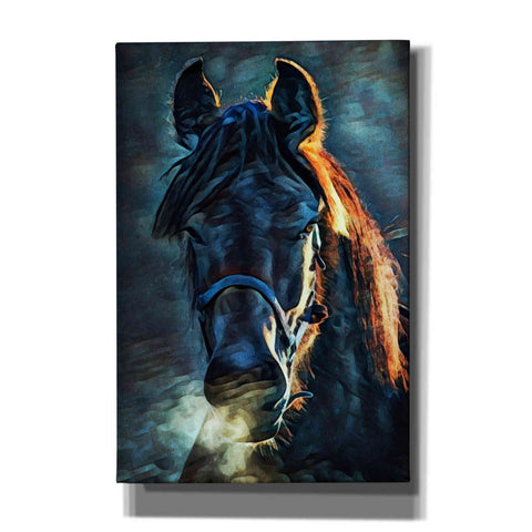 Image of 'Black Stallion Stare 1' by Ashley Aldridge Giclee Canvas Wall Art