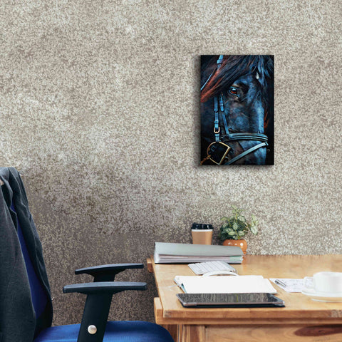 Image of 'Black Stallion Stare 2' by Ashley Aldridge Giclee Canvas Wall Art,12 x 18