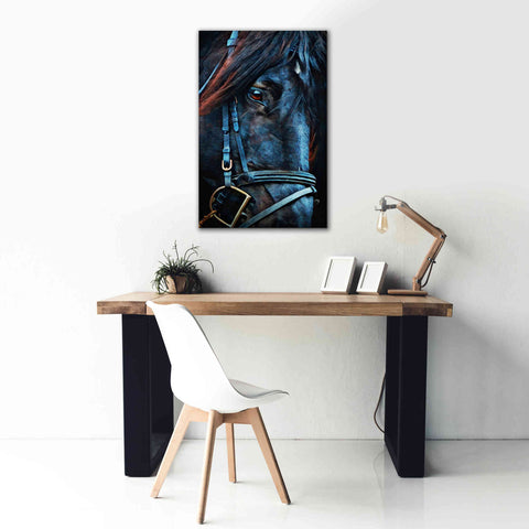 Image of 'Black Stallion Stare 2' by Ashley Aldridge Giclee Canvas Wall Art,26 x 40