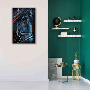 'Black Stallion Stare 2' by Ashley Aldridge Giclee Canvas Wall Art,26 x 40