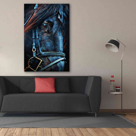 Image of 'Black Stallion Stare 2' by Ashley Aldridge Giclee Canvas Wall Art,40 x 60