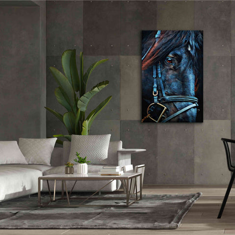 Image of 'Black Stallion Stare 2' by Ashley Aldridge Giclee Canvas Wall Art,40 x 60