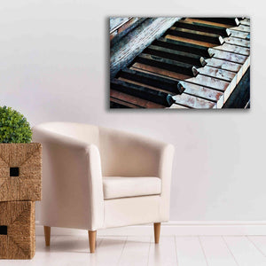 'Magnified & Musical 1' by Ashley Aldridge Giclee Canvas Wall Art,40 x 26