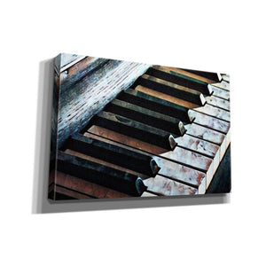 'Magnified & Musical 1' by Ashley Aldridge Giclee Canvas Wall Art