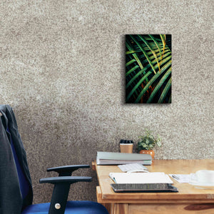 'Beauty Amongst Palms 1' by Ashley Aldridge Giclee Canvas Wall Art,12 x 18