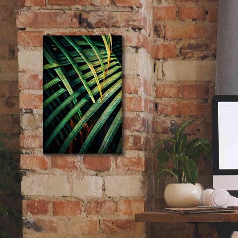 Image of 'Beauty Amongst Palms 1' by Ashley Aldridge Giclee Canvas Wall Art,12 x 18