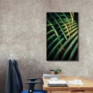 'Beauty Amongst Palms 1' by Ashley Aldridge Giclee Canvas Wall Art,26 x 40