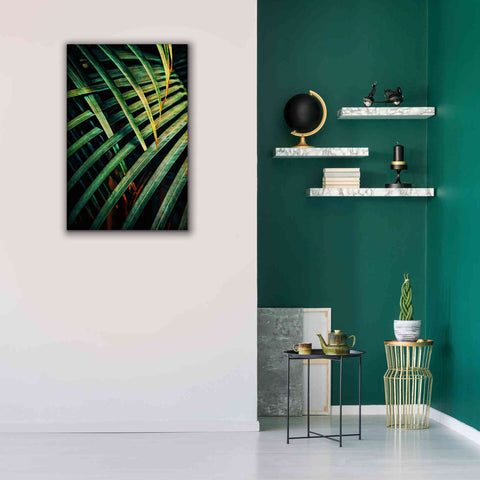 Image of 'Beauty Amongst Palms 1' by Ashley Aldridge Giclee Canvas Wall Art,26 x 40