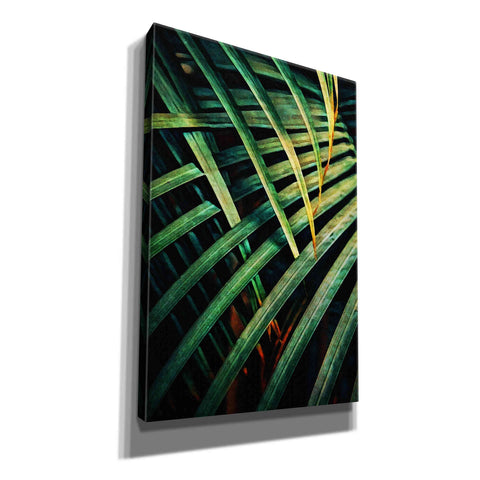 Image of 'Beauty Amongst Palms 1' by Ashley Aldridge Giclee Canvas Wall Art