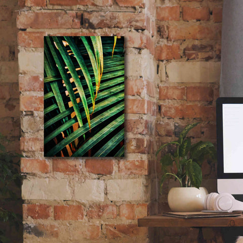 Image of 'Beauty Amongst Palms 2' by Ashley Aldridge Giclee Canvas Wall Art,12 x 18