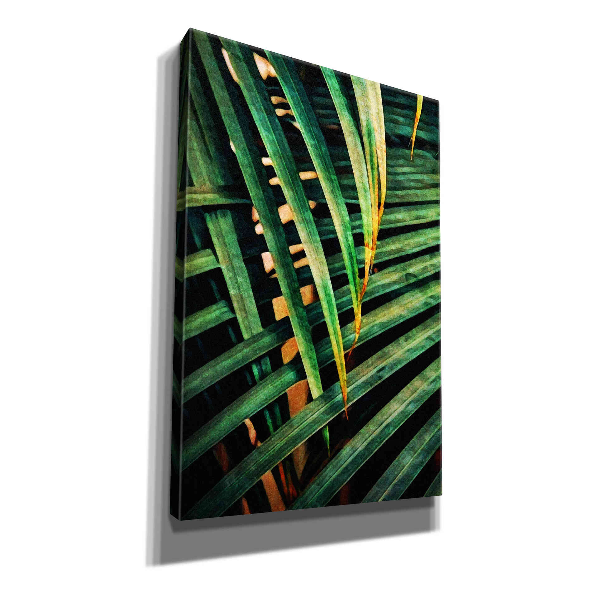 'Beauty Amongst Palms 2' by Ashley Aldridge Giclee Canvas Wall Art