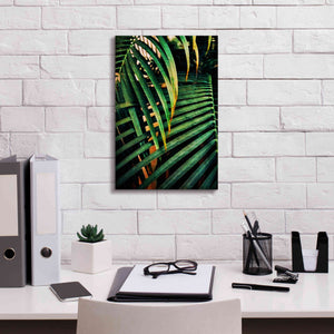 'Beauty Amongst Palms 3' by Ashley Aldridge Giclee Canvas Wall Art,12 x 18