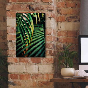 'Beauty Amongst Palms 3' by Ashley Aldridge Giclee Canvas Wall Art,12 x 18