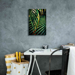 'Beauty Amongst Palms 3' by Ashley Aldridge Giclee Canvas Wall Art,12 x 18