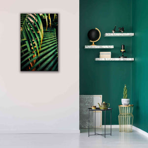 'Beauty Amongst Palms 3' by Ashley Aldridge Giclee Canvas Wall Art,26 x 40