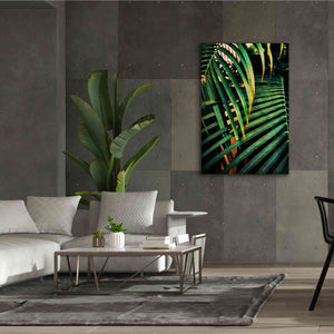 'Beauty Amongst Palms 3' by Ashley Aldridge Giclee Canvas Wall Art,40 x 60