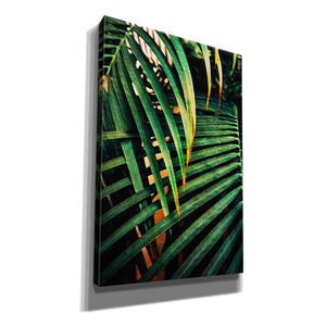 'Beauty Amongst Palms 3' by Ashley Aldridge Giclee Canvas Wall Art