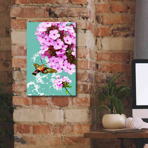 Image of 'Clearwing On Flox' by Evelia Designs Giclee Canvas Wall Art,12 x 18