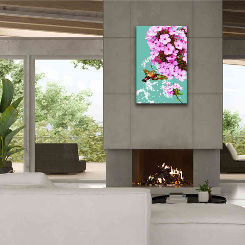 Image of 'Clearwing On Flox' by Evelia Designs Giclee Canvas Wall Art,26 x 40