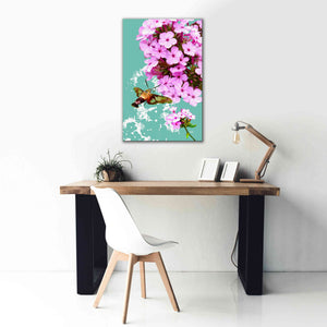 'Clearwing On Flox' by Evelia Designs Giclee Canvas Wall Art,26 x 40
