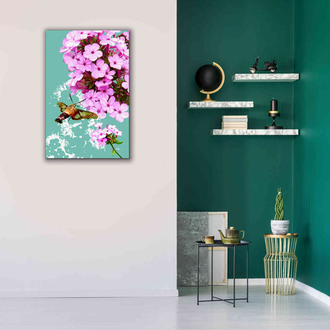 Image of 'Clearwing On Flox' by Evelia Designs Giclee Canvas Wall Art,26 x 40