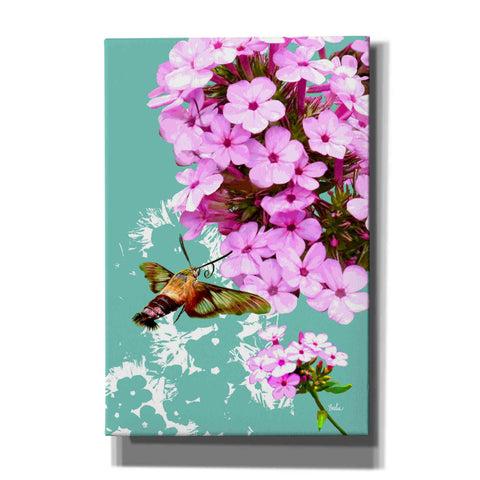 Image of 'Clearwing On Flox' by Evelia Designs Giclee Canvas Wall Art