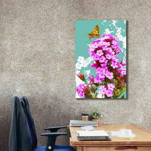 Image of 'Skipper On Flox' by Evelia Designs Giclee Canvas Wall Art,26 x 40