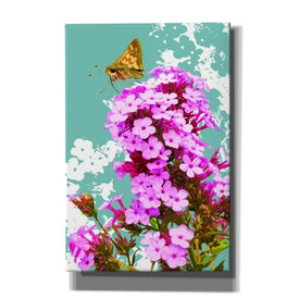 'Skipper On Flox' by Evelia Designs Giclee Canvas Wall Art