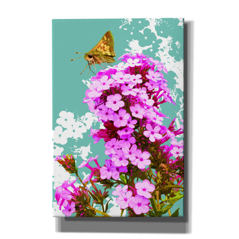 Image of 'Skipper On Flox' by Evelia Designs Giclee Canvas Wall Art