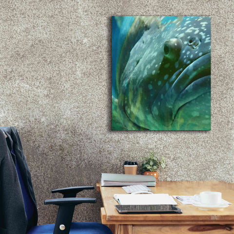 Image of 'Turquoise Splash One' by Steve Hunziker Giclee Canvas Wall Art,26 x 30